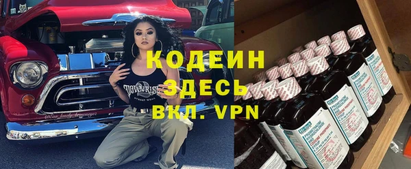 ПСИЛОЦИБИНОВЫЕ ГРИБЫ Рославль